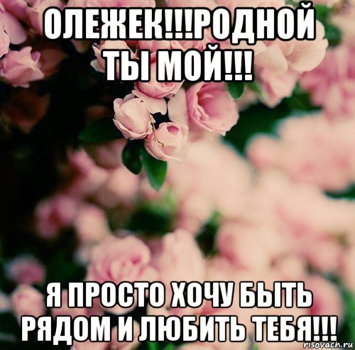 олежек!!!родной ты мой!!! я просто хочу быть рядом и любить тебя!!!, Мем цветы