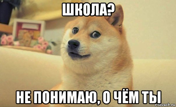 школа? не понимаю, о чём ты, Мем DOGE