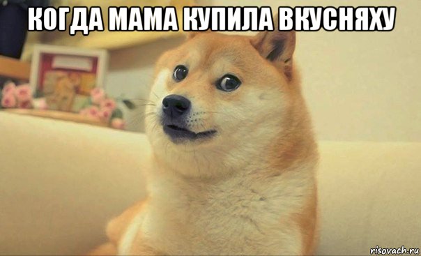 когда мама купила вкусняху , Мем DOGE