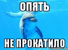 опять не прокатило, Мем Дельфин