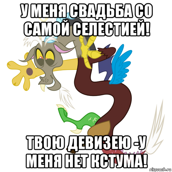 у меня свадьба со самой селестией! твою девизею -у меня нет кстума!