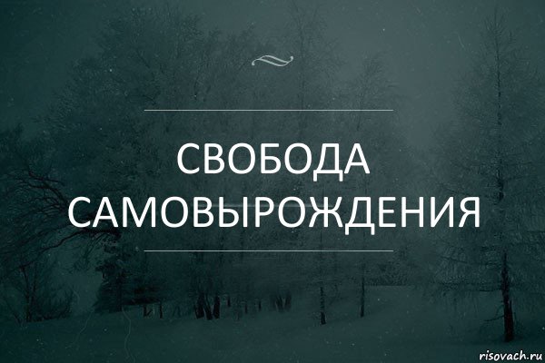 свобода самовырождения