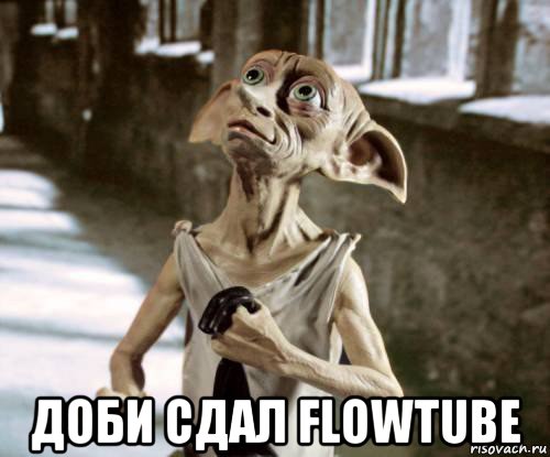  доби сдал flowtube, Мем добби