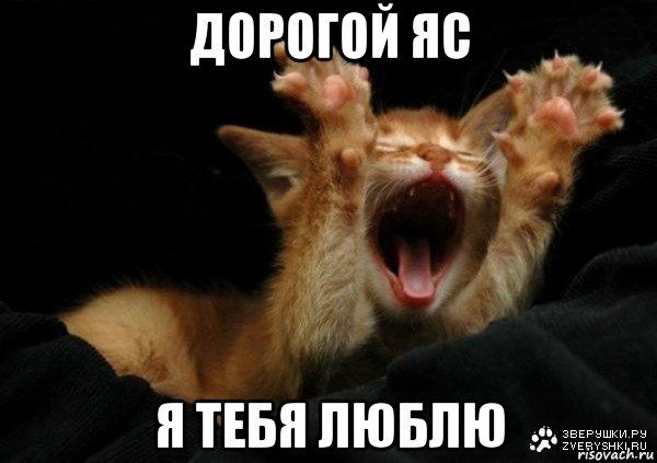 дорогой яс я тебя люблю