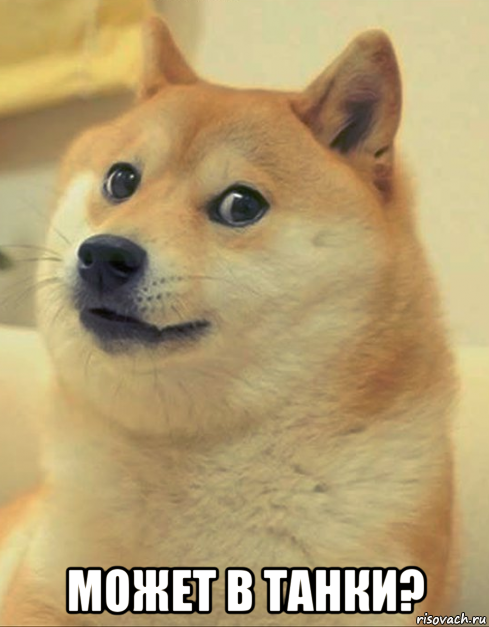  может в танки?, Мем doge woof