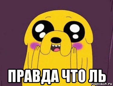  правда что ль, Мем  Джейк няшка