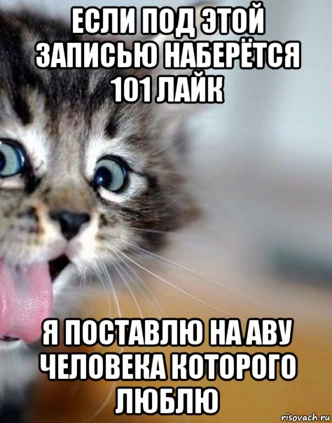 если под этой записью наберётся 101 лайк я поставлю на аву человека которого люблю