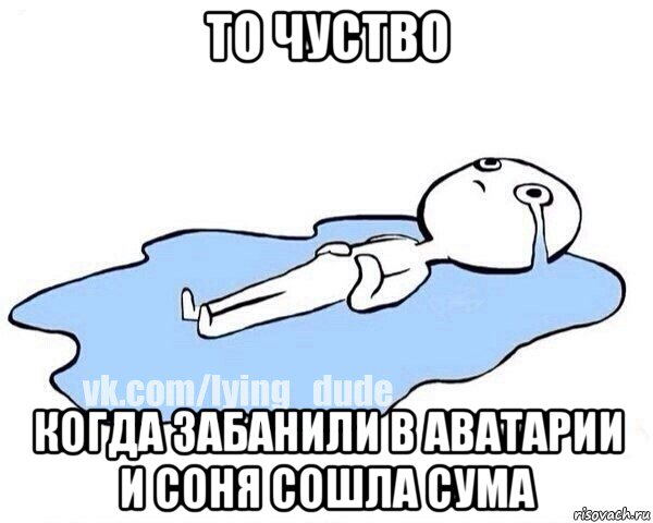 то чуство когда забанили в аватарии и соня сошла сума, Мем Этот момент когда