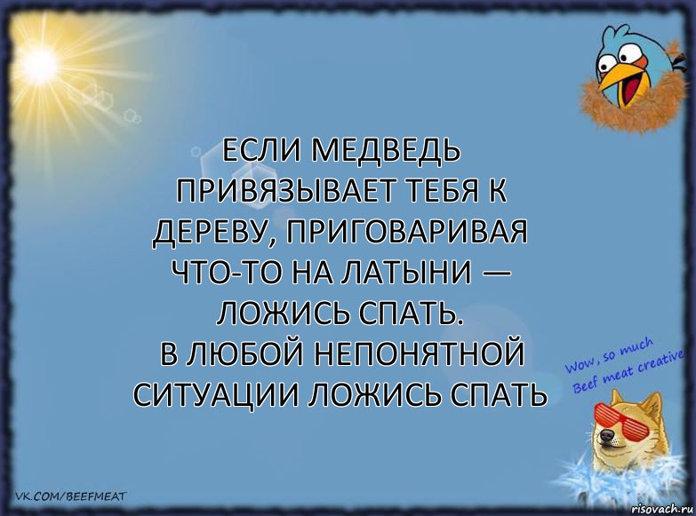 если медведь привязывает тебя к дереву, приговаривая что-то на латыни — ложись спать.
в любой непонятной ситуации ложись спать, Комикс ФОН