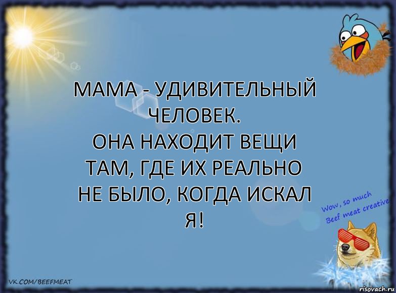 Мама - удивительный человек.
Она находит вещи там, где их РЕАЛЬНО НЕ БЫЛО, когда искал я!, Комикс ФОН