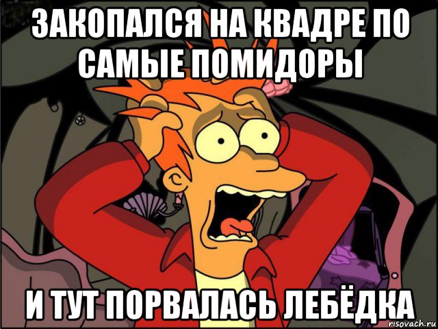 закопался на квадре по самые помидоры и тут порвалась лебёдка, Мем Фрай в панике