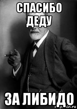 спасибо деду за либидо, Мем Фрейд