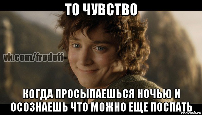 то чувство когда просыпаешься ночью и осознаешь что можно еще поспать, Мем  Фродо