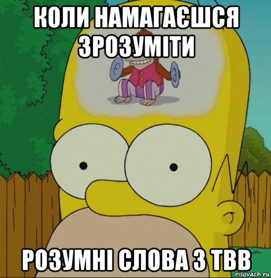 коли намагаєшся зрозуміти розумні слова з твв, Мем  Гомер Симпсон