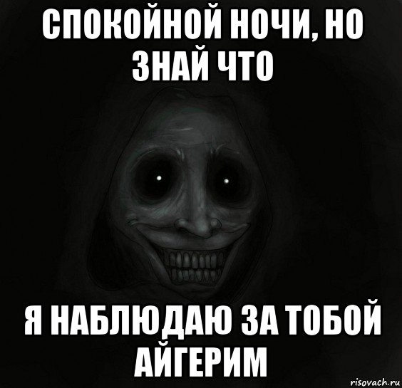 спокойной ночи, но знай что я наблюдаю за тобой айгерим, Мем Ночной гость