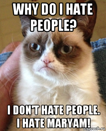 why do i hate people? i don't hate people. i hate maryam!, Мем Grumpy Cat small