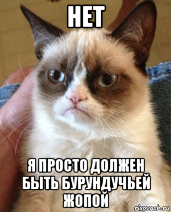 нет я просто должен быть бурундучьей жопой, Мем Grumpy Cat small