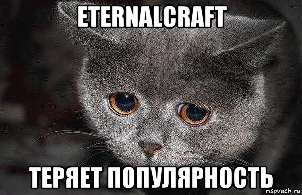 eternalcraft теряет популярность, Мем  Грустный кот