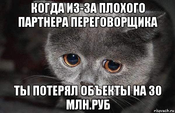 когда из-за плохого партнера переговорщика ты потерял объекты на 30 млн.руб, Мем  Грустный кот