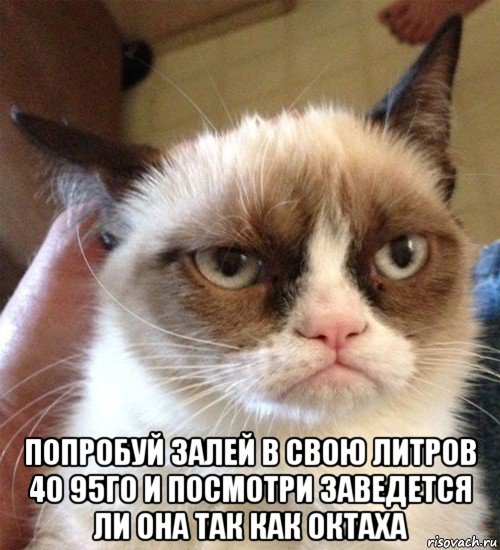  попробуй залей в свою литров 40 95го и посмотри заведется ли она так как октаха, Мем Грустный (сварливый) кот