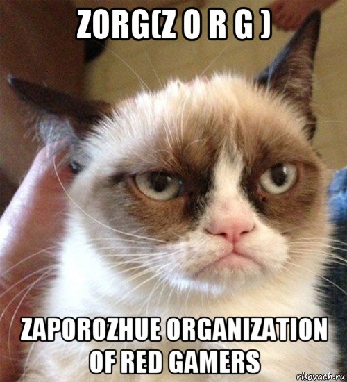 zorg(z o r g ) zaporozhue organization of red gamers, Мем Грустный (сварливый) кот