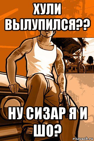 хули вылупился?? ну сизар я и шо?, Мем GTA