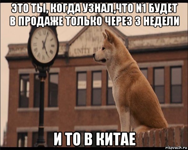 это ты, когда узнал,что n1 будет в продаже только через 3 недели и то в китае, Мем Хатико