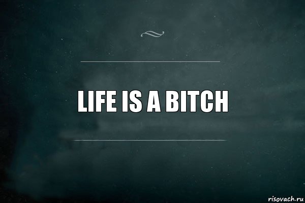 Life is a bitch, Комикс Игра Слов