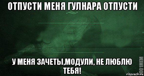 отпусти меня гулнара отпусти у меня зачеты,модули, не люблю тебя!, Мем Игра слов 2