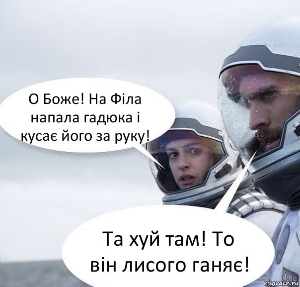 О Боже! На Філа напала гадюка і кусає його за руку! Та хуй там! То він лисого ганяє!, Комикс Интерстеллар