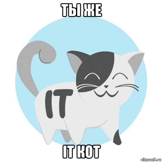 ты же it кот