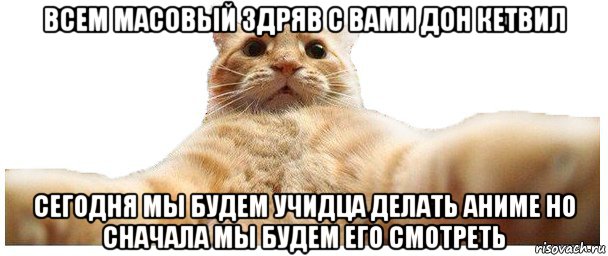 всем масовый здряв с вами дон кетвил сегодня мы будем учидца делать аниме но сначала мы будем его смотреть, Мем   Кэтсвилл