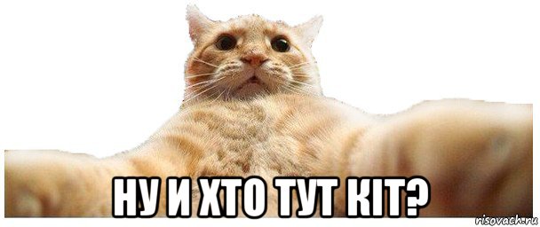  ну и хто тут кit?, Мем   Кэтсвилл