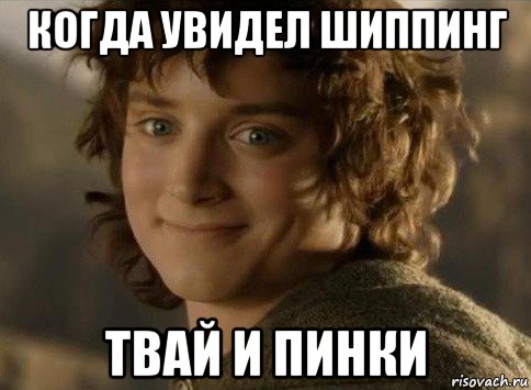 когда увидел шиппинг твай и пинки, Мем когда друг вступил во взаимопомо