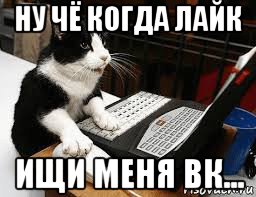 ну чё когда лайк ищи меня вк..., Мем Кошка за компьютером