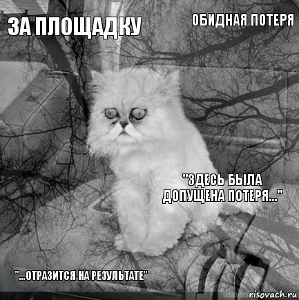 за площадку "здесь была допущена потеря..."  "...отразится на результате"  обидная потеря    , Комикс  кот безысходность