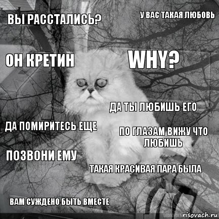 вы расстались? по глазам вижу что любишь why? вам суждено быть вместе да помиритесь еще у вас такая любовь такая красивая пара была он кретин позвони ему да ты любишь его, Комикс  кот безысходность