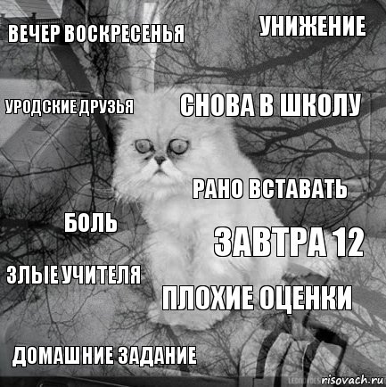 Вечер воскресенья Завтра 12 снова в школу домашние задание боль унижение плохие оценки уродские друзья злые учителя рано вставать, Комикс  кот безысходность