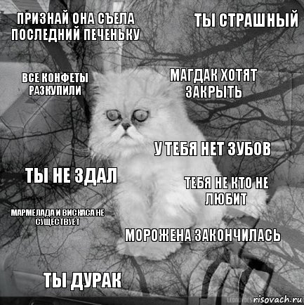 Признай она съела последний печеньку ТЕБЯ НЕ КТО НЕ ЛЮБИТ Магдак хотят закрыть Ты дурак Ты не здал Ты страшный Морожена закончилась Все конфеты разкупили Мармелада и вискаса не существует У тебя нет зубов, Комикс  кот безысходность