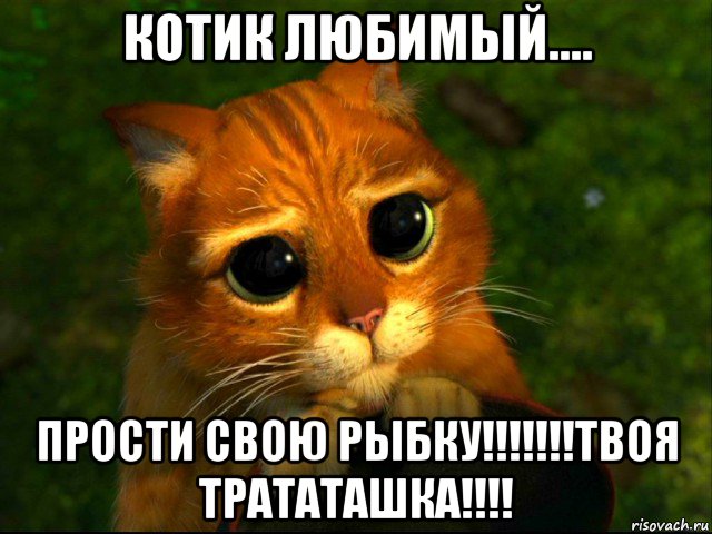 котик любимый.... прости свою рыбку!!!!!!!твоя трататашка!!!!, Мем кот из шрека