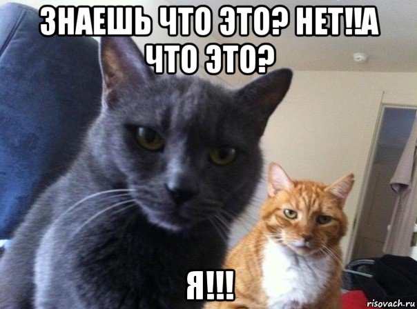 знаешь что это? нет!!а что это? я!!!