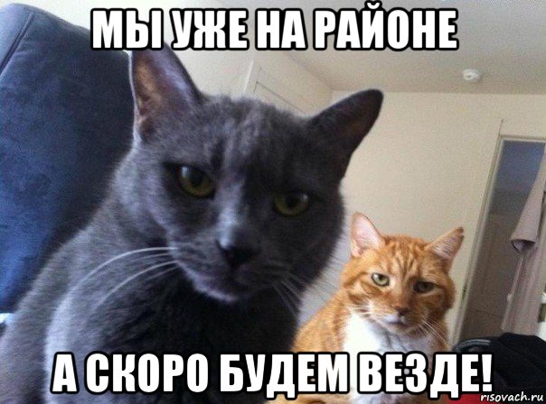 мы уже на районе а скоро будем везде!, Мем  Два котэ