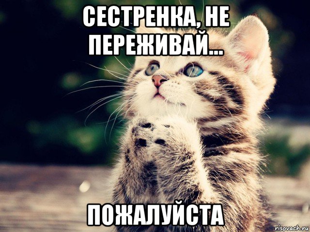 сестренка, не переживай... пожалуйста