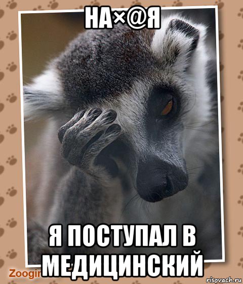 на×@я я поступал в медицинский