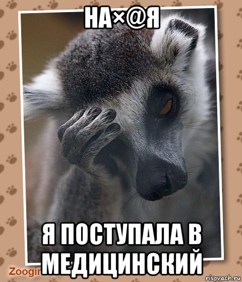 на×@я я поступала в медицинский