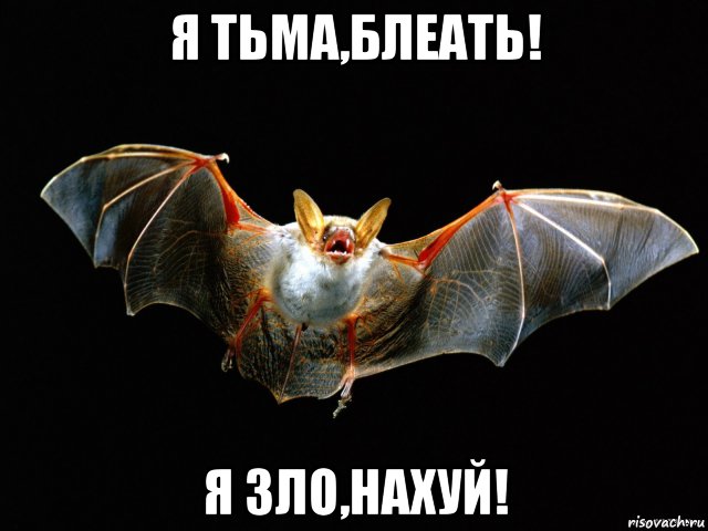 я тьма,блеать! я зло,нахуй!, Мем Летучая мышь я зло