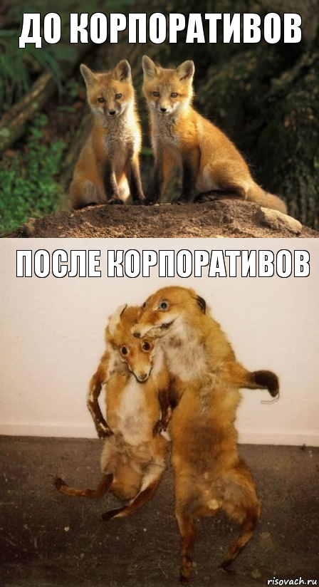 До корпоративов После корпоративов, Комикс Лисицы