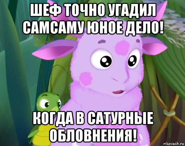 шеф точно угадил самсаму юное дело! когда в сатурные обловнения!