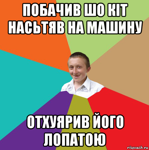 побачив шо кіт насьтяв на машину отхуярив його лопатою, Мем  малый паца