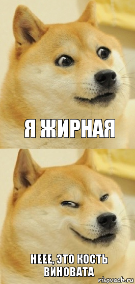 я жирная неее, это кость виновата, Комикс   DOGE довольный